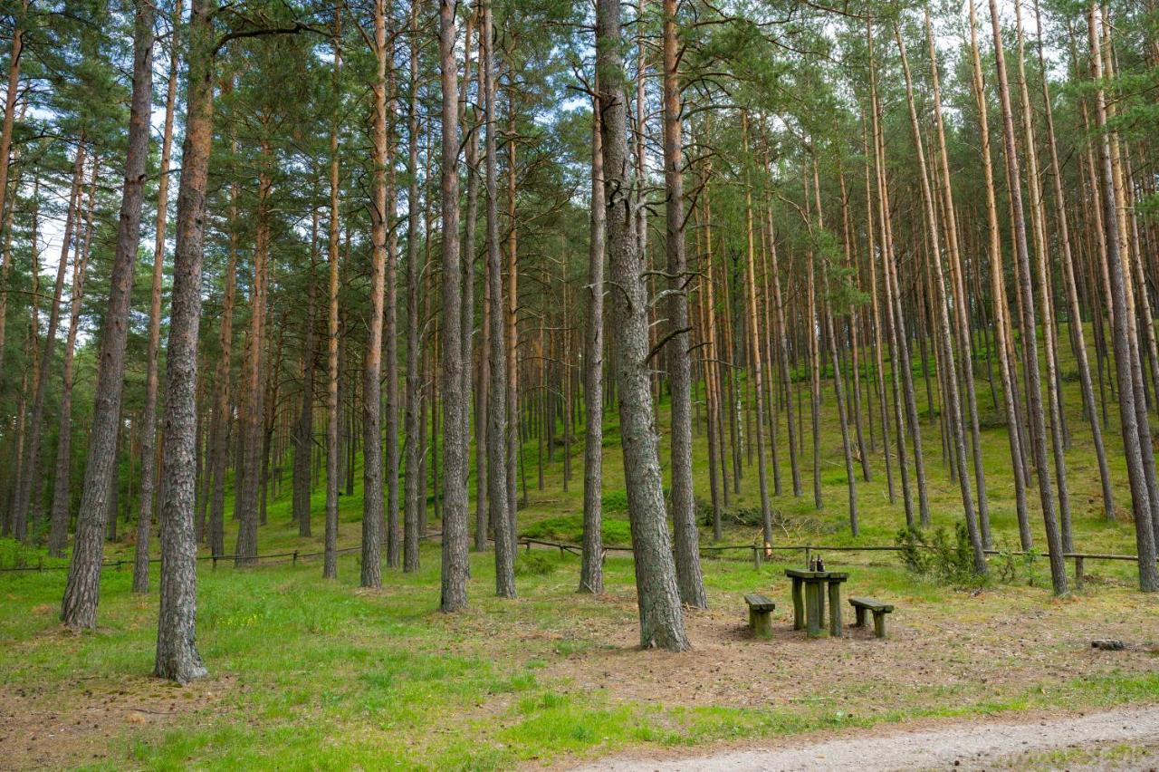 Kaszubska Odskocznia Ostoja Bukowo Villa Borowy Mlyn Екстериор снимка